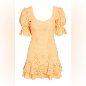 NWT JONATHAN SIMKHAI Meg
BOUTIQUE
Broderie Puff Sleeve Mini
Dress In Apricot
